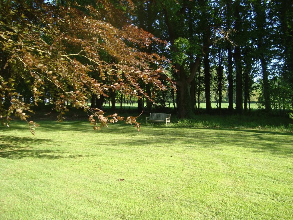 Chalet Du Bel Event La Chapelle-sur-Dun 외부 사진
